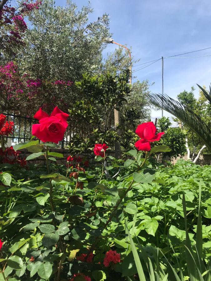 Vita Apartment - Spacious Garden And Balcony 5 Min To Beach & Center Ксамил Екстериор снимка