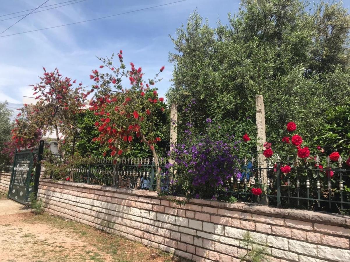 Vita Apartment - Spacious Garden And Balcony 5 Min To Beach & Center Ксамил Екстериор снимка