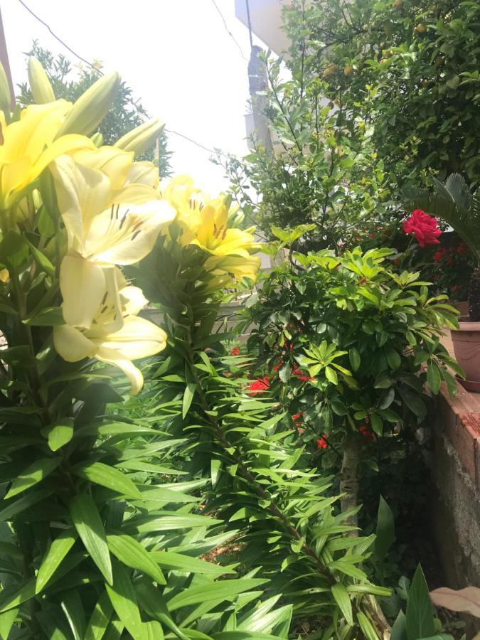 Vita Apartment - Spacious Garden And Balcony 5 Min To Beach & Center Ксамил Екстериор снимка