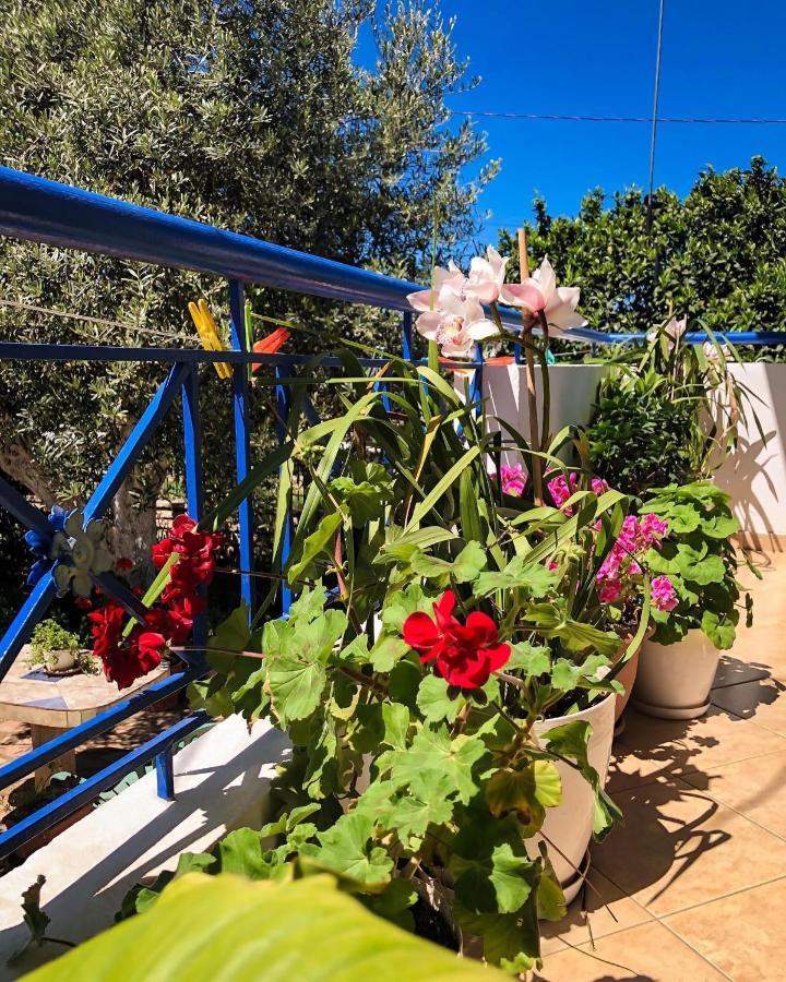 Vita Apartment - Spacious Garden And Balcony 5 Min To Beach & Center Ксамил Екстериор снимка