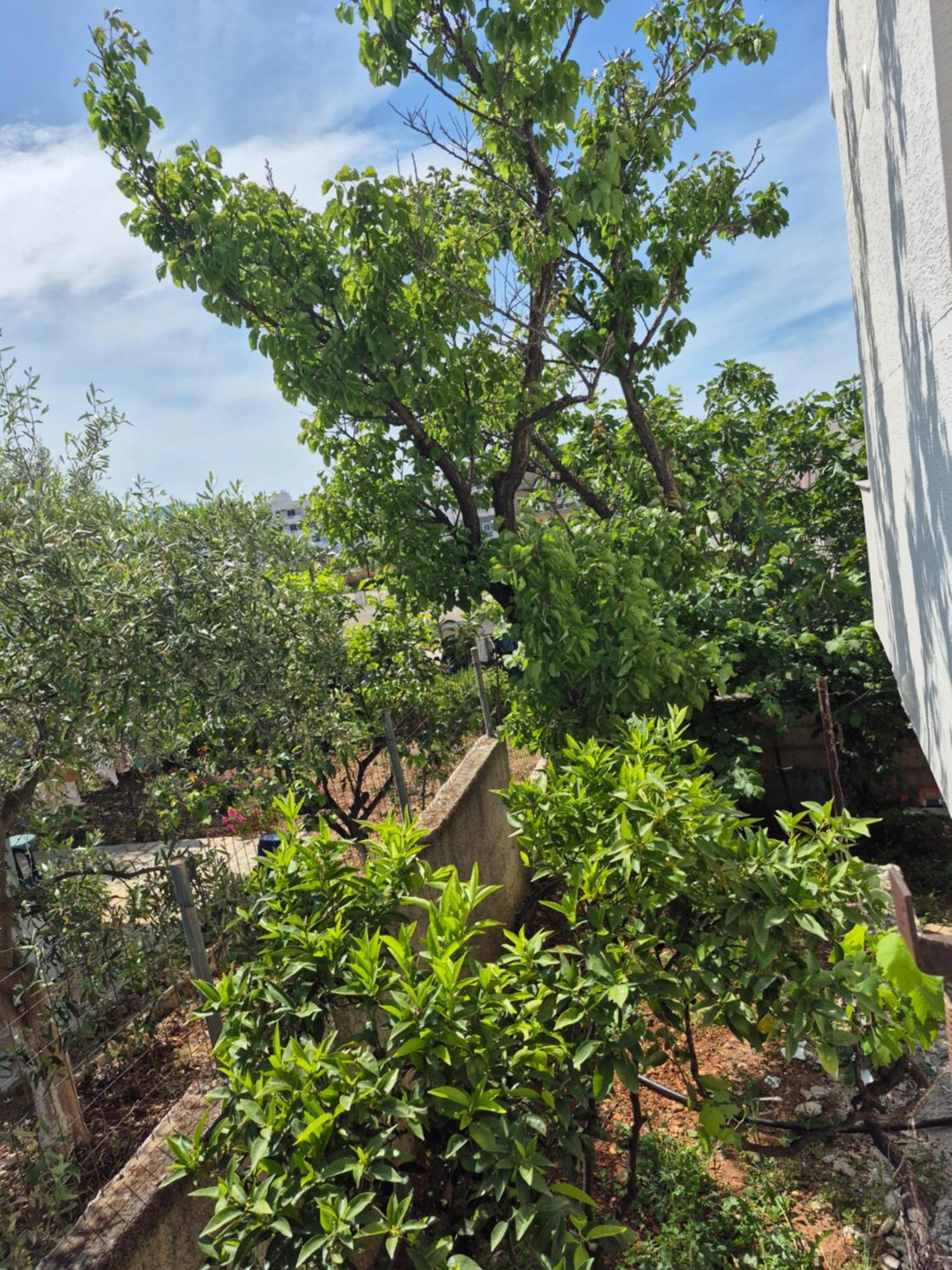 Vita Apartment - Spacious Garden And Balcony 5 Min To Beach & Center Ксамил Екстериор снимка