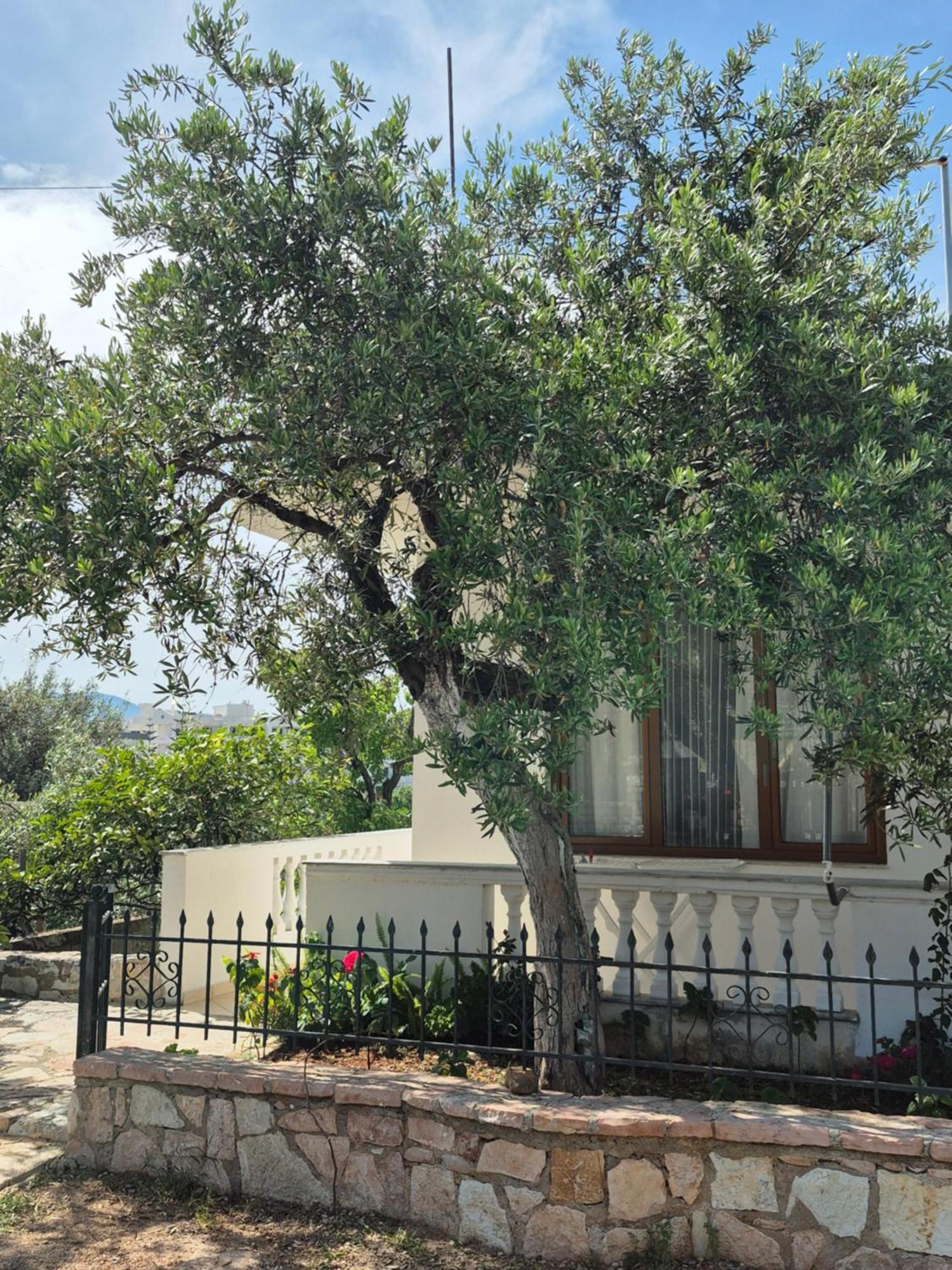 Vita Apartment - Spacious Garden And Balcony 5 Min To Beach & Center Ксамил Екстериор снимка