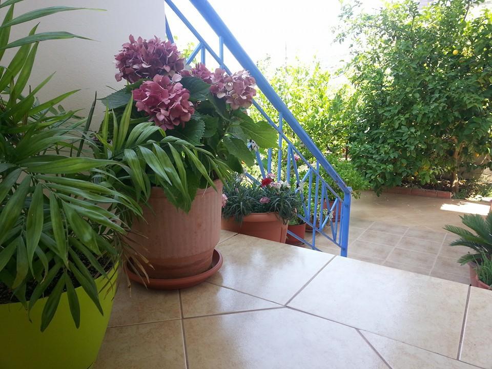 Vita Apartment - Spacious Garden And Balcony 5 Min To Beach & Center Ксамил Екстериор снимка